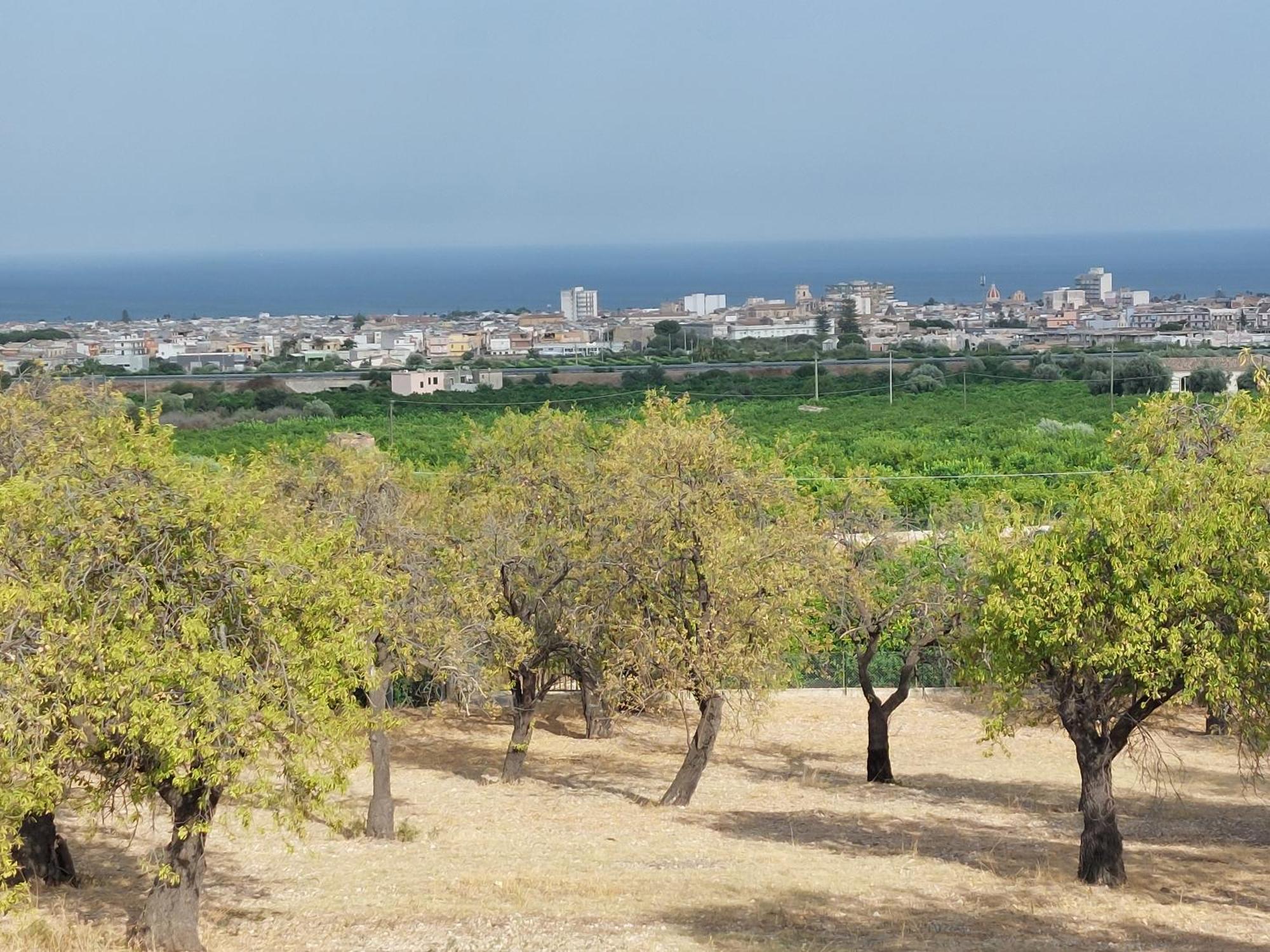 Villa Camilla Avola Εξωτερικό φωτογραφία